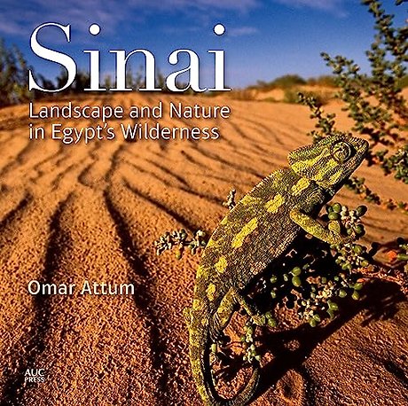 Sinai