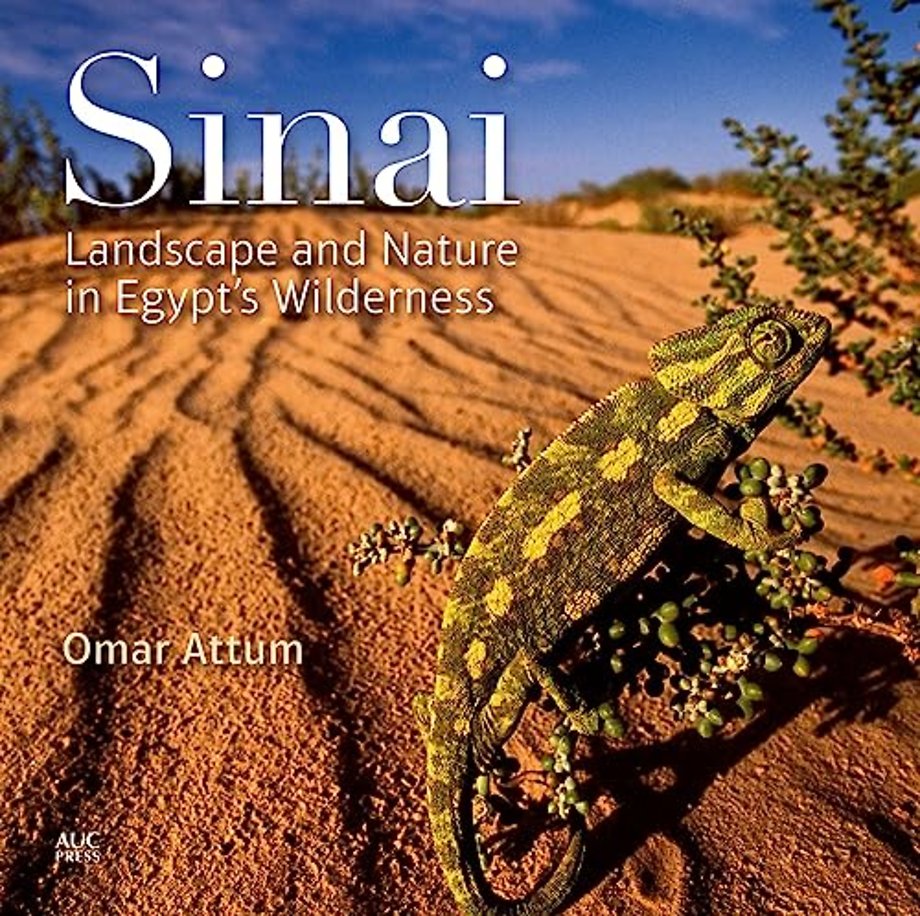 Sinai