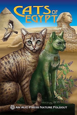 Cats of Egypt