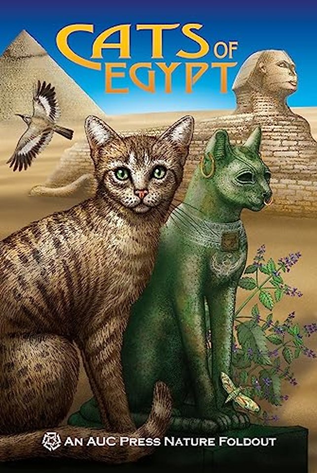 Cats of Egypt