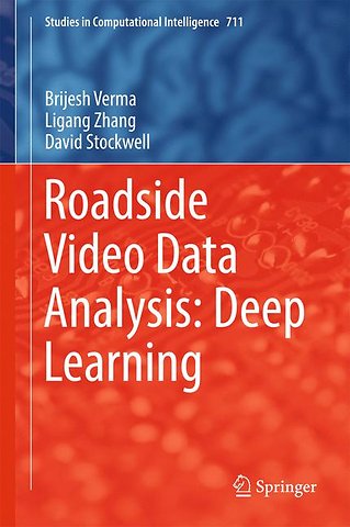 Roadside Video Data Analysis