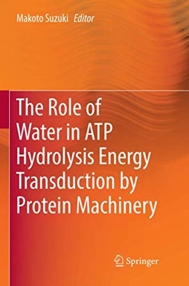 The Role of Water in ATP Hydrolysis Energy Transduction by Protein Machinery