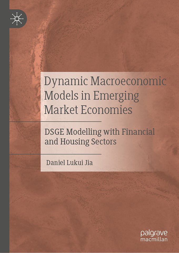 Dynamic Macroeconomic Models in Emerging Market Economies