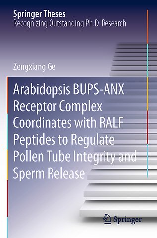 Arabidopsis BUPS-ANX Receptor Complex Coordinates with RALF Peptides to Regulate Pollen Tube Integrity and Sperm Release