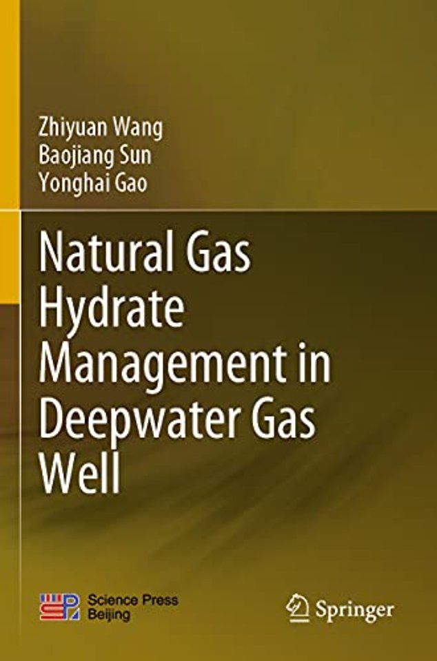 Natural Gas Hydrate Management in Deepwater Gas Well