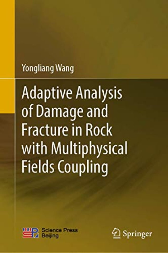 Adaptive Analysis of Damage and Fracture in Rock with Multiphysical Fields Coupling