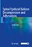 Spinal Epidural Balloon Decompression and Adhesiolysis