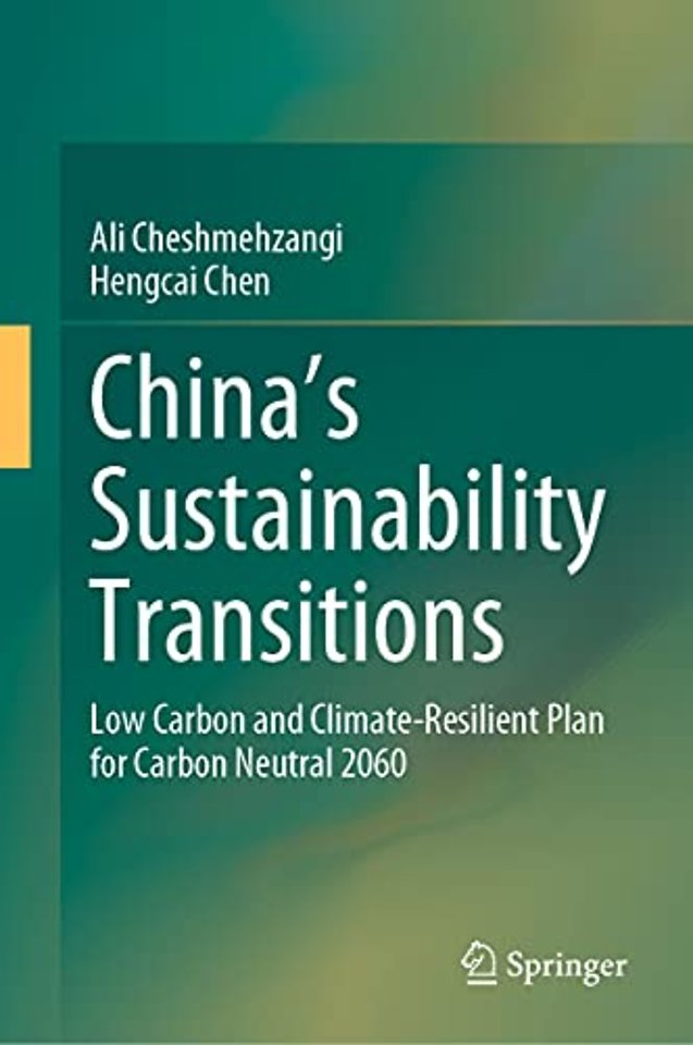 China's Sustainability Transitions