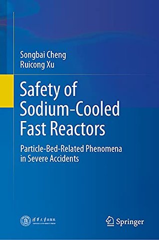 Safety of Sodium-Cooled Fast Reactors