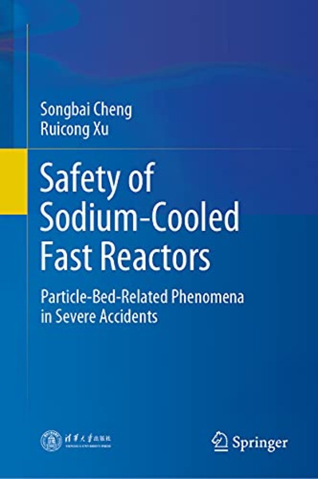 Safety of Sodium-Cooled Fast Reactors
