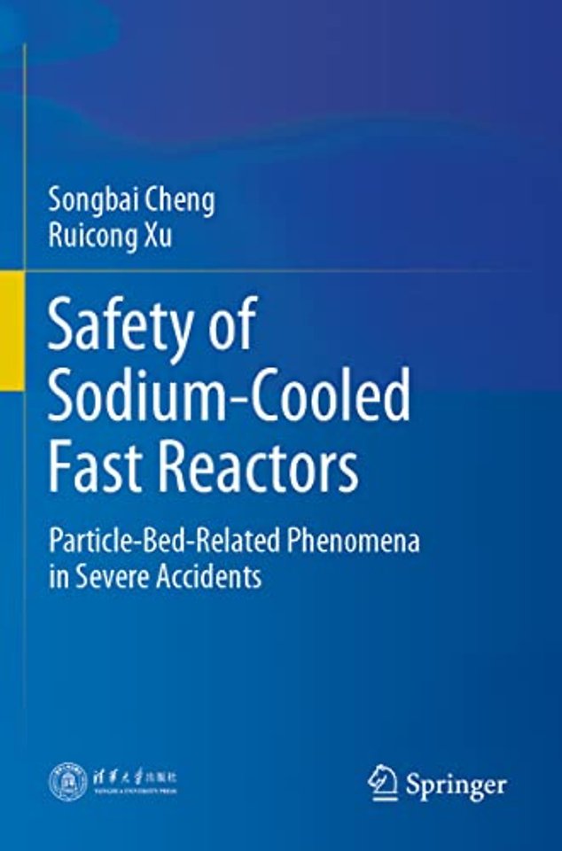 Safety of Sodium-Cooled Fast Reactors