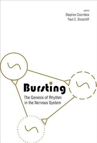 Bursting: The Genesis Of Rhythm In The Nervous System