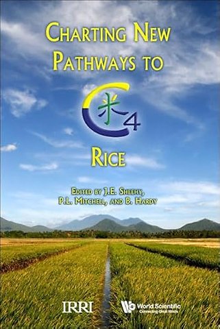 Charting New Pathways To C4 Rice