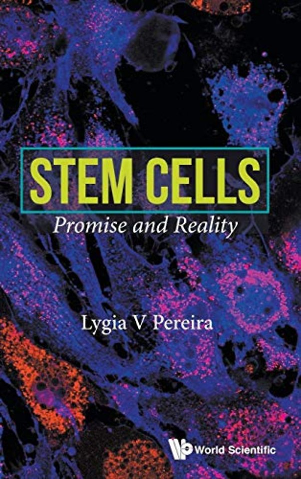 Stem Cells: Promise And Reality