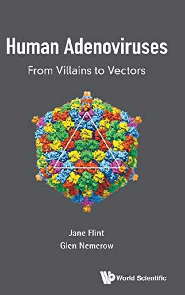 Human Adenoviruses: From Villains To Vectors