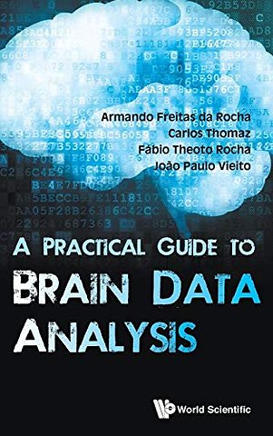 Practical Guide To Brain Data Analysis, A