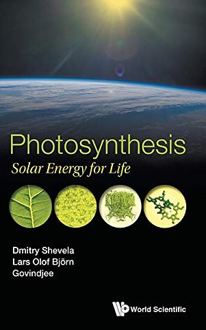 Photosynthesis: Solar Energy For Life