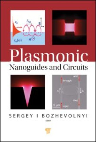 Plasmonic Nanoguides and Circuits