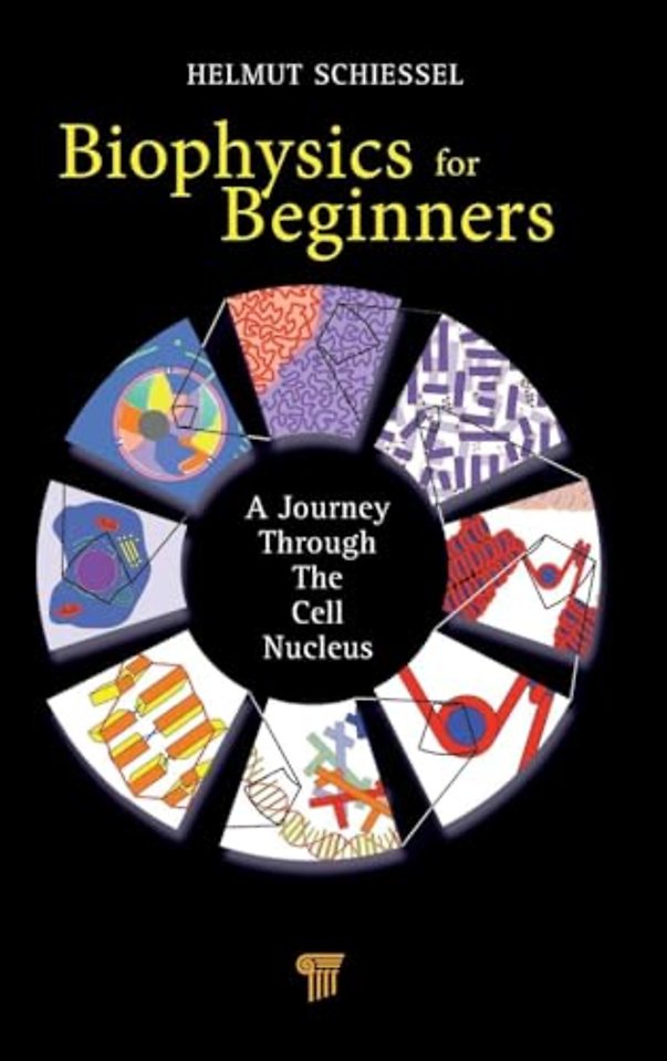 Biophysics for Beginners