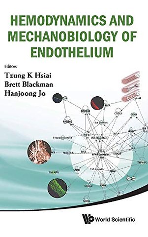 Hemodynamics And Mechanobiology Of Endothelium