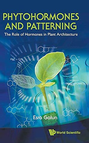 Phytohormones And Patterning: The Role Of Hormones In Plant Architecture