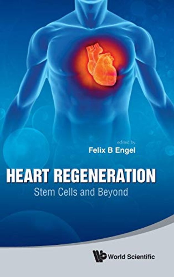 Heart Regeneration: Stem Cells And Beyond