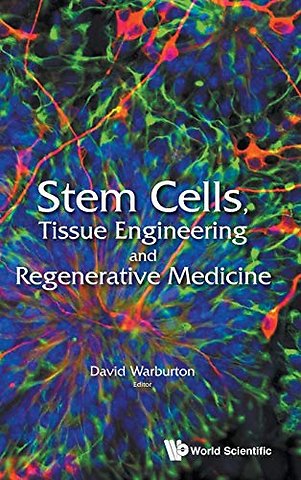 Stem Cells, Tissue Engineering And Regenerative Medicine