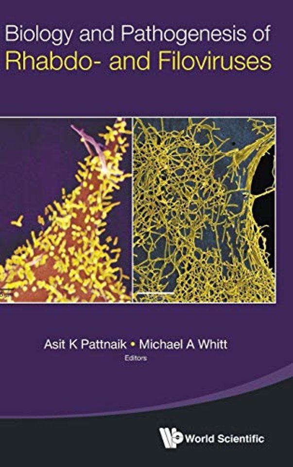 Biology And Pathogenesis Of Rhabdo- And Filoviruses