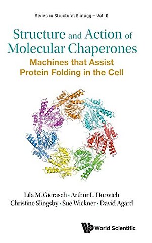 Structure And Action Of Molecular Chaperones: Machines That Assist Protein Folding In The Cell