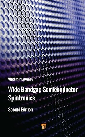 Wide Bandgap Semiconductor Spintronics