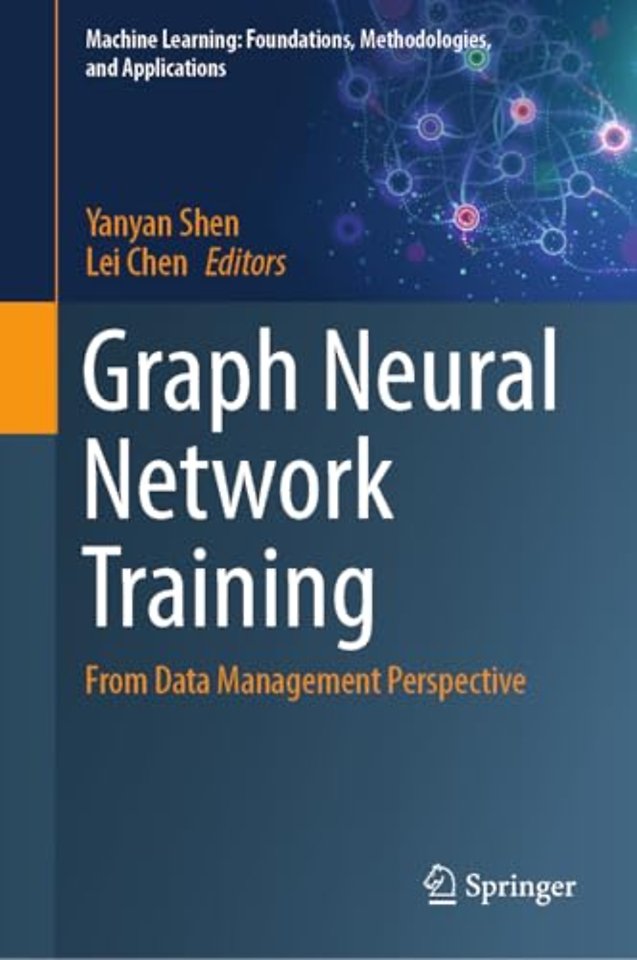 Graph Neural Network Training