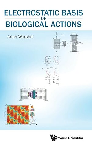 Electrostatic Basis Of Biological Actions
