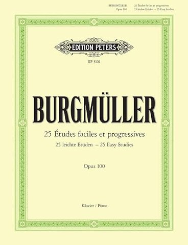 25 Easy & Progressive Studies Op.100