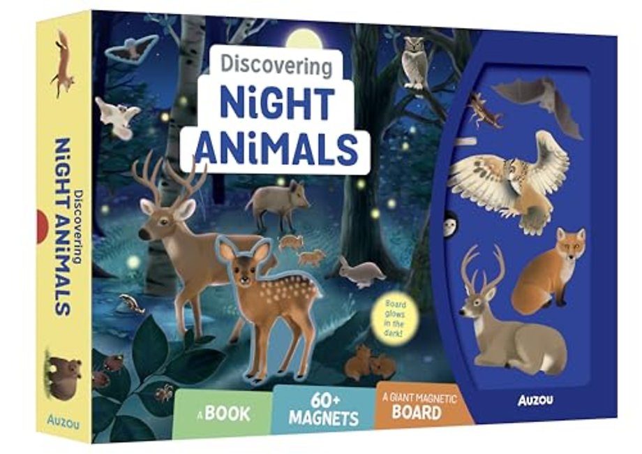 Discovering Night Animals
