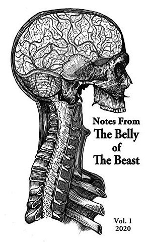 Notes From The Belly Of The Beast