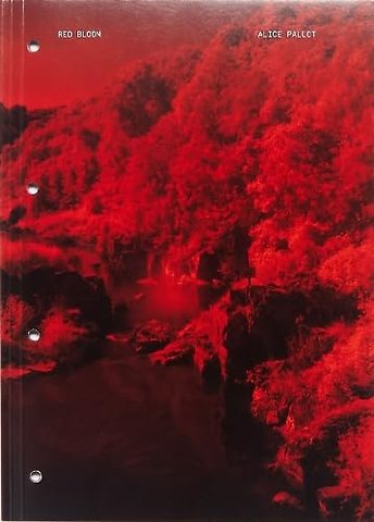 Red Bloom