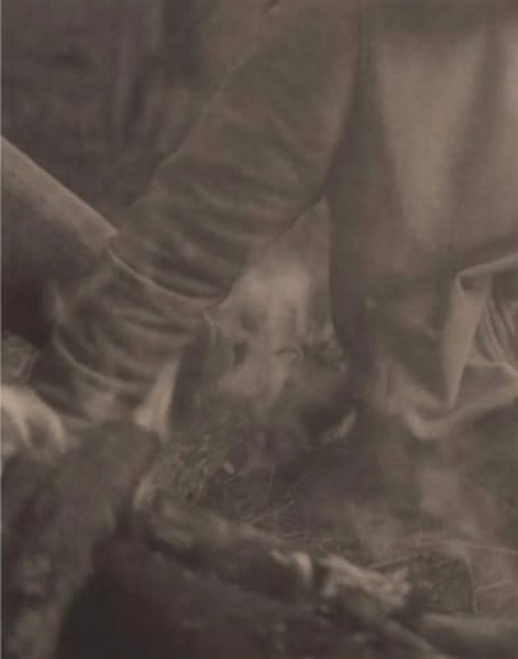 La Ronde des hirondelles