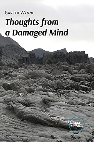 THOUGHTS FROM A DAMAGED MIND