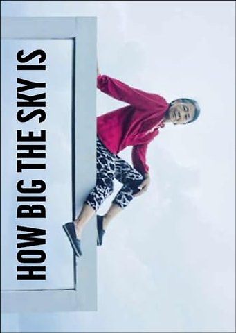 I’m showing you how big the sky is – The story of Chiou Taur Wu told by Martina Bacigalupo