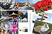 Creatieve coachingskaarten – basic Creatieve coachingskaarten – basic