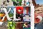 Creatieve coachingskaarten XL variatie 1 Creatieve coachingskaarten XL variatie 1