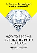 How to become a shiny diamond werkboek
