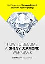 How to become a shiny diamond werkboek