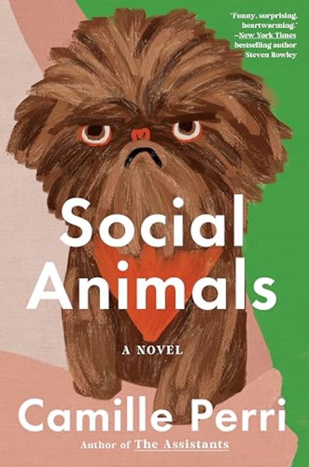 Social Animals