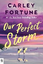 Our Perfect Storm