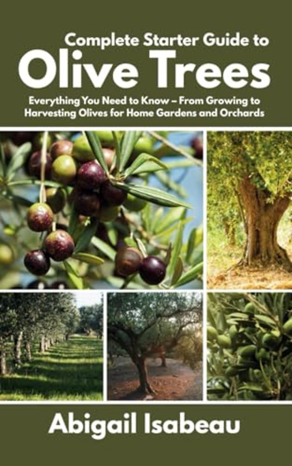 Complete Starter Guide to Olive Trees