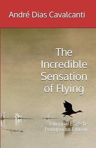 The Incredible Sensation of Flying