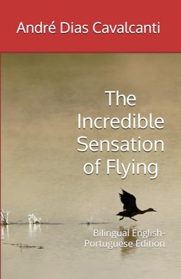 The Incredible Sensation of Flying