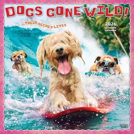 Avanti Dogs Gone Wild 2026 Square Flap Calendar