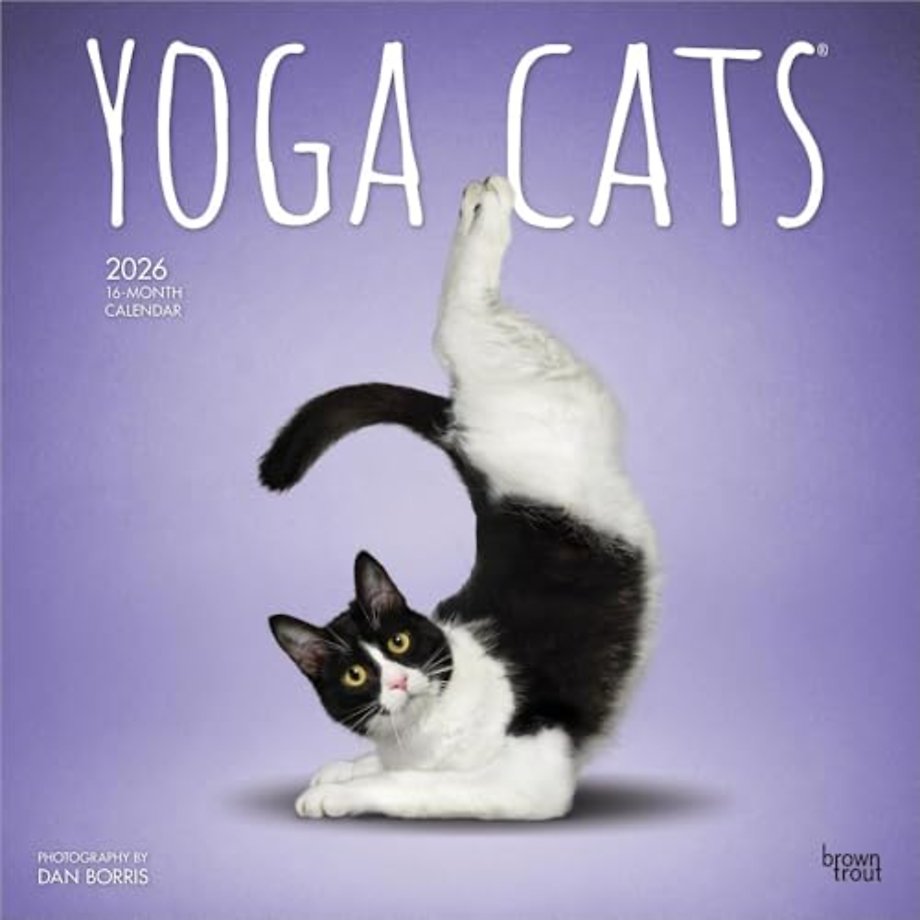 Yoga Cats 2026 Square Flap Calendar